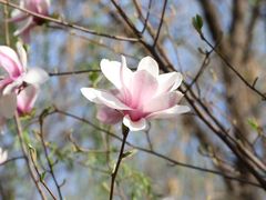 -朝阳公园
