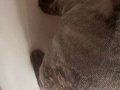 -乐宠宠物店(世纪金源店)