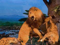 -国家自然博物馆