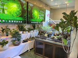 点击看大图 -阅年轻花园会所