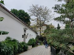 -荔湾湖公园