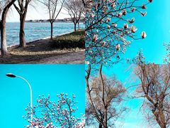 -阳澄湖半岛旅游度假区