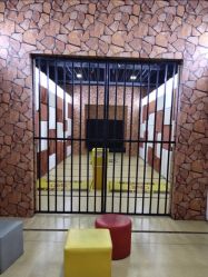 -疯狂的麦咭(长沙店)
