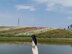 -迪茵湖田家舍生态农场