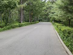 -长春市南湖公园