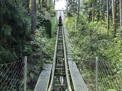 -碧峰峡风景区