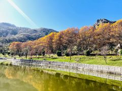 -秦岭终南山世界地质公园翠华山景区