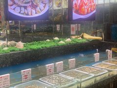 -宝燕壹号(徐汇店)