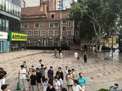 -BUS TOUR观光巴士