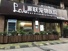 -派联宠物医院·24h·CT·异宠