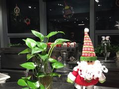 -HIGH FIVE哈福手工汉堡(桂林路店)