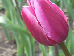 -长春公园(普阳街道)