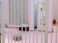 -爪爪喵星球·猫舍(前海卓越店)