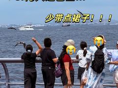 -日月昇渔家菜·海肠捞饭·大连海鲜(星海公园店)