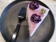 -Simple Yummy简单美味(上邦百汇城店)