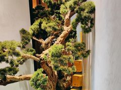 -松鹤楼·非遗·苏帮菜(融科店)