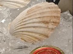 -Oyster Talks 四度蚝法餐厅
