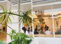 -Hair  Gallery