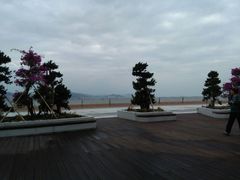 -演武大桥观景平台