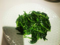 -YAFEE雅菲·粤菜·湘菜·融合菜(魏公村店)