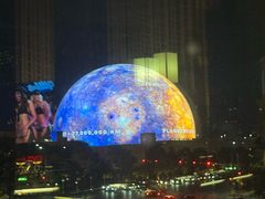 -拉斯维加斯永利酒店