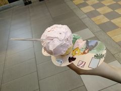 -野人先生现做冰淇淋(西安赛格店)
