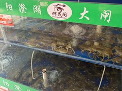 -阳澄湖大闸蟹·琼灵阁牌品牌连锁(吴中总店)