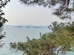 -好灶头妈妈菜·柴火灶台鱼·千岛湖土菜地标美食