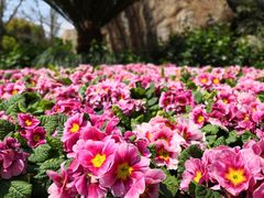 -苏州河梦清园环保主题公园