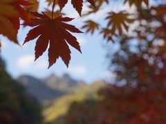 -丹东天桥沟景区