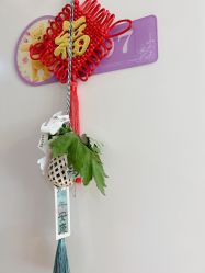 -月来悦好国际月子会所