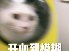 -芭比堂动物医院(广州爱宠下渡路分院)