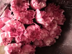-双季花艺园艺市场(浦东店)