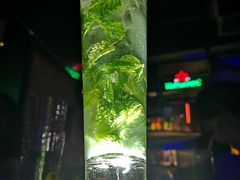 -MARU玛露音乐餐厅(大学路店)