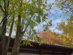 -郑和公园