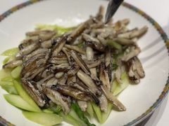 -新光酒家·河豚·海鲜·蟹料理(浦东店)
