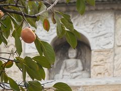 -北京石刻艺术博物馆(五塔寺)