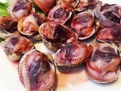 醉毛蚶-高佳庄·舟山海鲜(海景旗舰店)