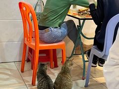 等位区-大档(荔湾店)