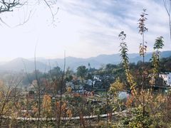 -塔川景区
