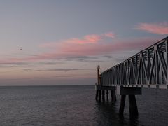 -东堤公园