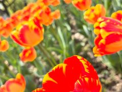 -玄武湖景区-情侣园游乐场