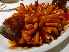 松鼠桂鱼-马凯餐厅(长椿街店)