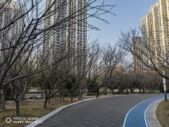 -苏州河梦清园环保主题公园