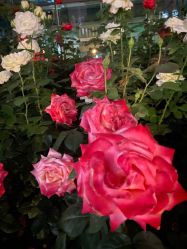 -美肤盾祛痘·问题肌头疗管理中心