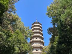 -灵谷景区