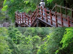 -广州白江湖森林公园