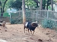 -昆明动物园