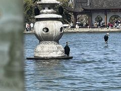 -西湖游船