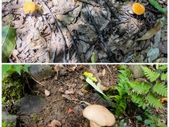 -紫金山索道-售票处